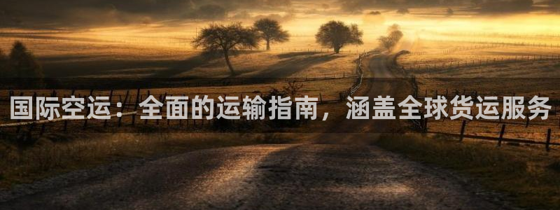 尊龙旗舰app：国际空运：全面的运输指南，涵盖全球货运服