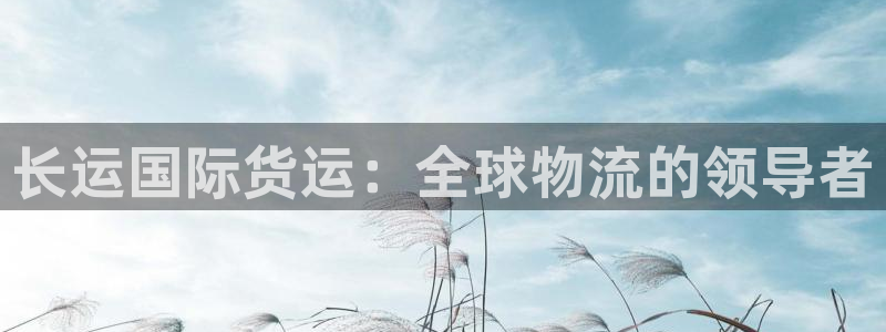 z6尊龙凯时官方：长运国际货运：全球物流的领导者
