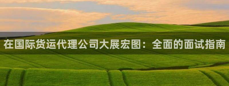 尊龙d88手机登录免费下载：在国际货运代理公司大展宏图：
