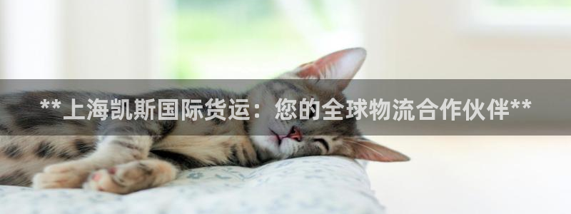 尊龙人生就是博旧版现金娱乐一下：**上海凯斯国际货运：您