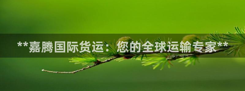 尊龙凯时官方网页：**嘉腾国际货运：您的全球运输专家**