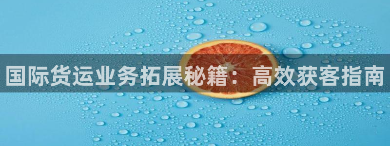 尊龙ag旗舰厅下载：国际货运业务拓展秘籍：高效获客指南