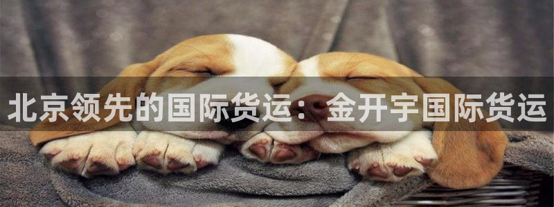 尊龙凯时平台有没有不到账的：北京领先的国际货运：金开宇国
