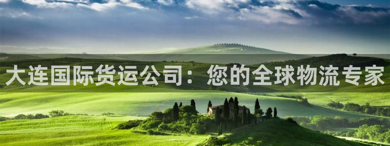 尊龙新版手机app下载：大连国际货运公司：您的全球物流专