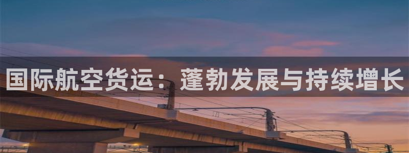 尊龙凯时平台还是万搏好：国际航空货运：蓬勃发展与持续增长