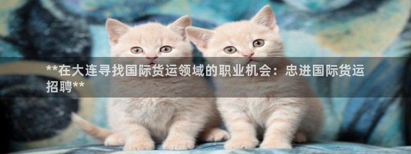 尊龙网站注册网：**在大连寻找国际货运领域的职业机会：忠