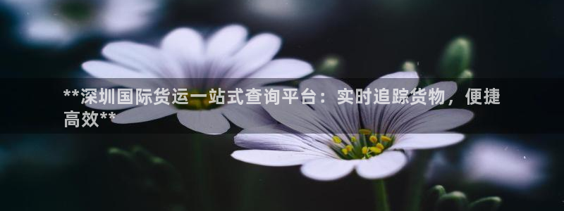 尊龙官网在哪里：**深圳国际货运一站式查询平台：实时追踪