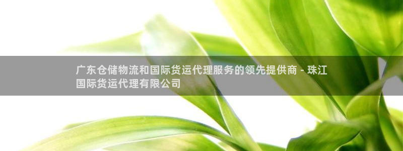 尊龙凯时ag旗舰厅登陆