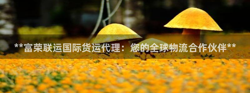 尊龙凯时赞助：**富荣联运国际货运代理：您的全球物流合作