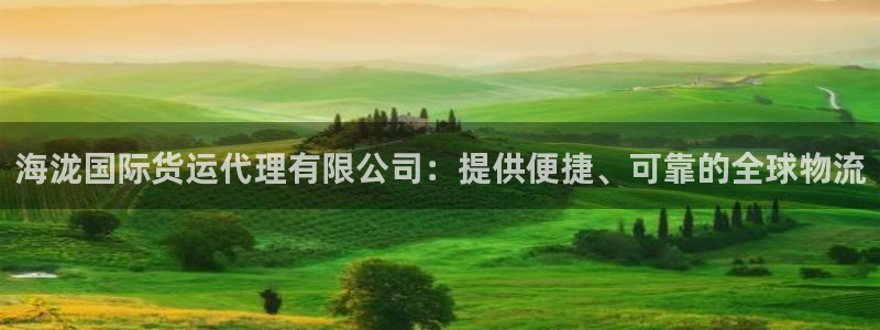 尊龙ag旗舰官网：海泷国际货运代理有限公司：提供便捷、可