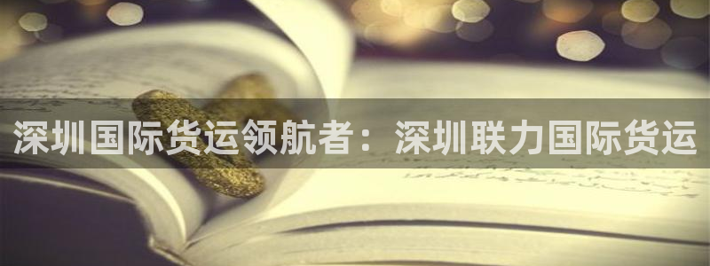 尊龙凯时一人生就是博登入：深圳国际货运领航者：深圳联力国