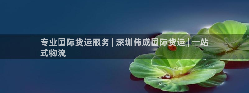 尊龙集团有限公司地址：专业国际货运服务 | 深圳伟成国际