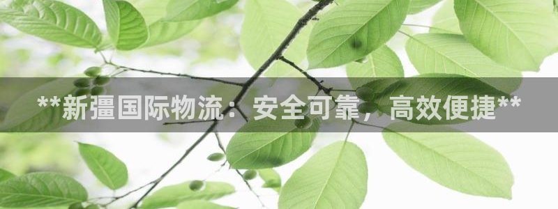 尊龙凯时官方网站下载：**新彊国际物流：安全可靠，高效便