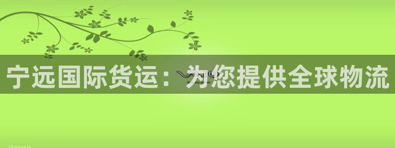 尊龙 国外：宁远国际货运：为您提供全球物流