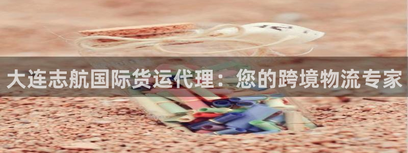 尊龙凯时人生就博：大连志航国际货运代理：您的跨境物流专家