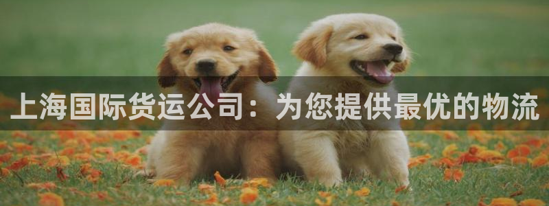 尊龙凯时百万奖池