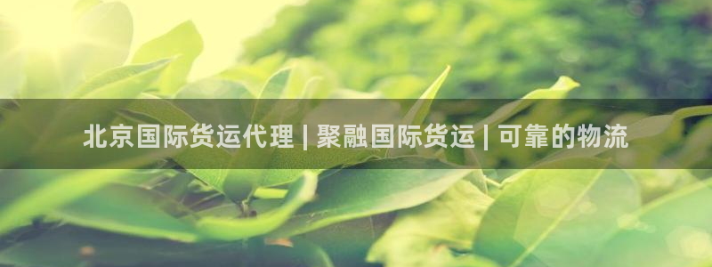 尊龙 5：北京国际货运代理 | 聚融国际货运 | 可靠的