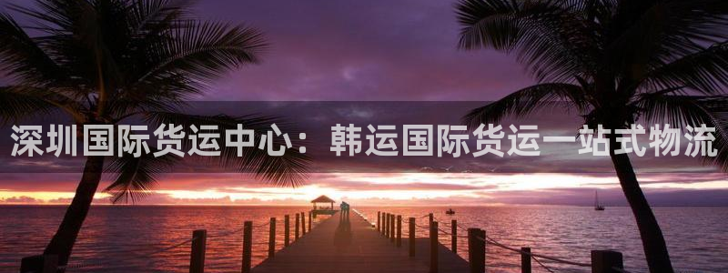 尊龙am i blue：深圳国际货运中心：韩运国际货运一