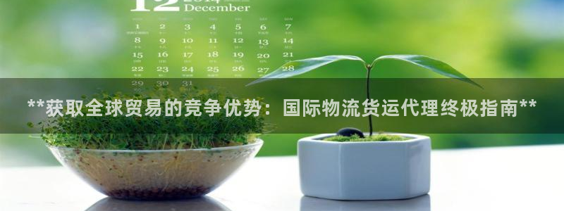 尊龙ag旗舰官网：**获取全球贸易的竞争优势：国际物流货