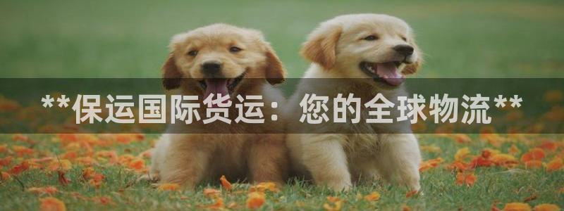尊龙凯时口碑好吗：**保运国际货运：您的全球物流**