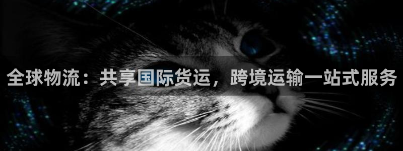 尊龙百度贴吧：全球物流：共享国际货运，跨境运输一站式服务