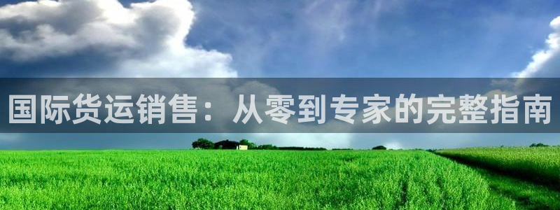 尊龙贴吧：国际货运销售：从零到专家的完整指南