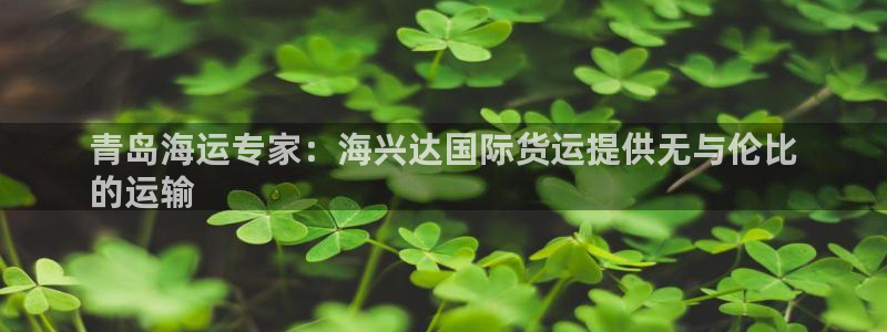 尊龙凯时人生就是博游戏网站：青岛海运专家：海兴达国际货运
