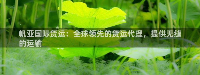 尊龙凯时取款24小时不到账：帆亚国际货运：全球领先的货运