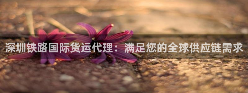 尊龙官网首页