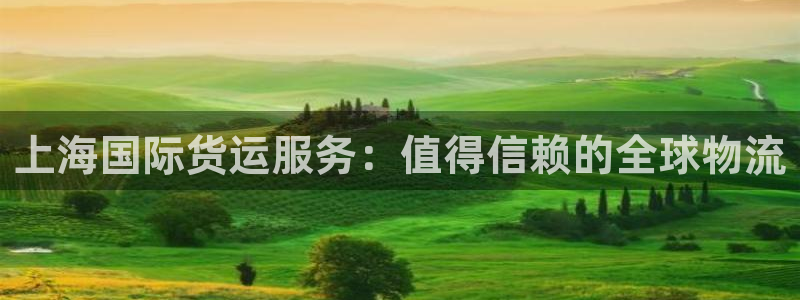 尊龙凯时捕鱼游戏能玩吗：上海国际货运服务：值得信赖的全球