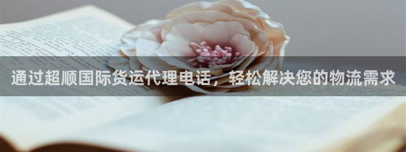 尊龙凯时网站首页手机登录：通过超顺国际货运代理电话，轻松