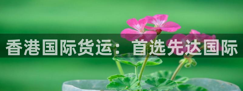 尊龙现金：香港国际货运：首选先达国际