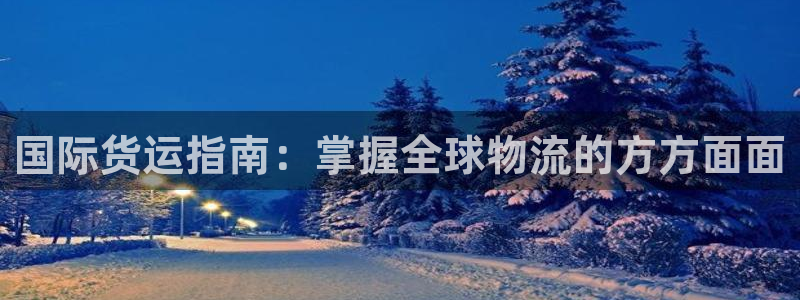 尊龙个人资料简介：国际货运指南：掌握全球物流的方方面面