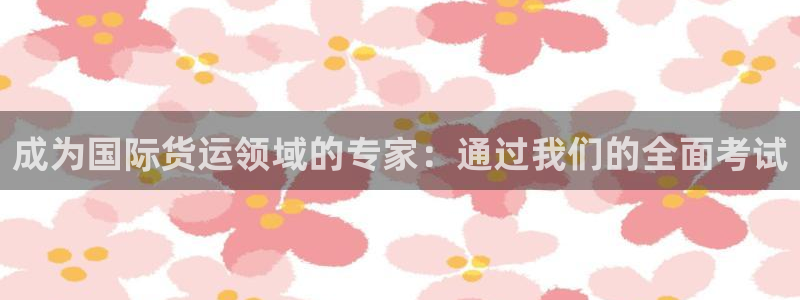 尊龙-人生就是博：成为国际货运领域的专家：通过我们的全面