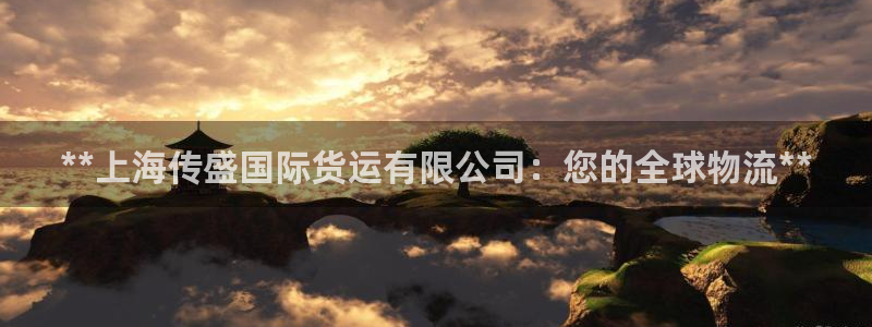 尊龙凯时官网入口：**上海传盛国际货运有限公司：您的全球