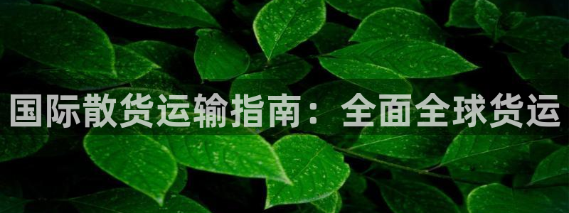 尊龙新版app：国际散货运输指南：全面全球货运