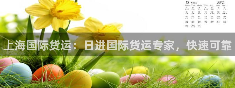 尊龙凯时人生就是搏平台：上海国际货运：日进国际货运专家，