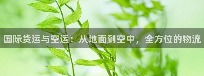 尊龙负面新闻