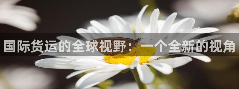 尊龙凯时泰安
