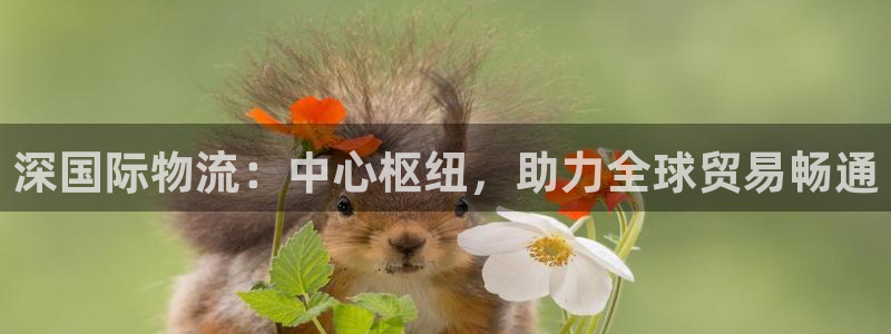 尊龙人生手机版都去ag发财网