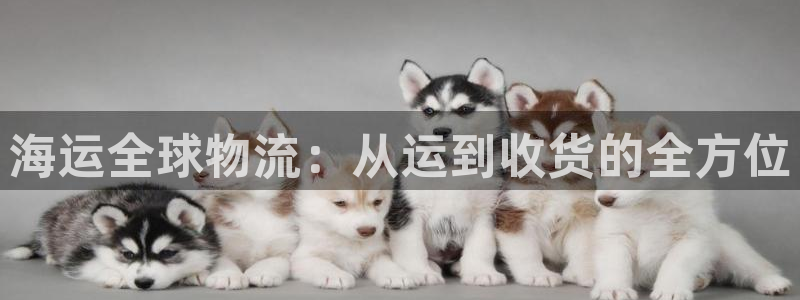 尊龙凯时赞助