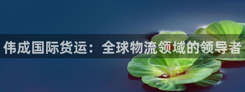 尊龙凯时有限公司