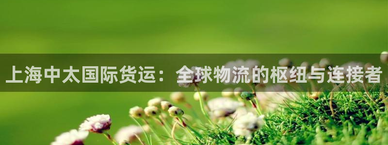 尊龙app|首选agdaohang