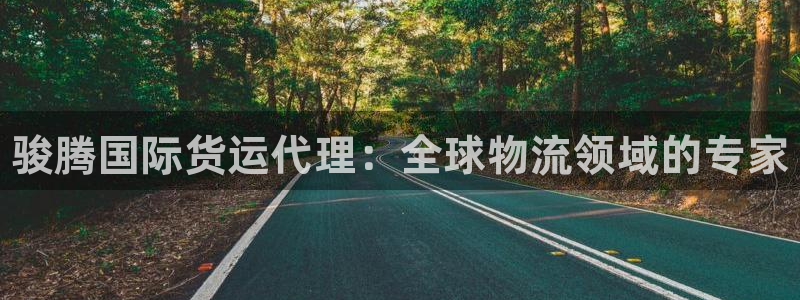 尊龙app登录不了：骏腾国际货运代理：全球物流领域的专家