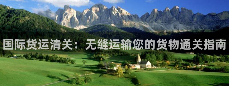 尊龙人生就是博官：国际货运清关：无缝运输您的货物通关指南