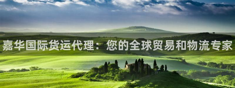 尊龙凯时ag旗舰厅官网客服：嘉华国际货运代理：您的全球贸