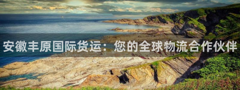 尊龙平台登录：安徽丰原国际货运：您的全球物流合作伙伴