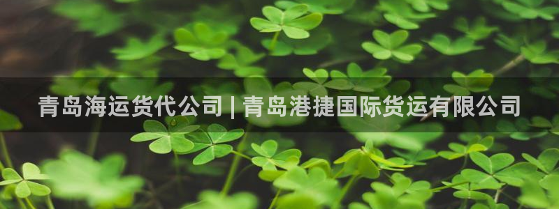 尊龙人生就是博电脑版