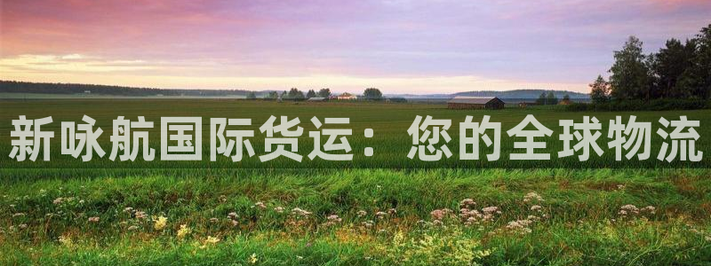 z6尊龙凯时官方：新咏航国际货运：您的全球物流