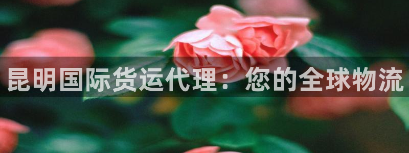 尊龙凯时注册地址：昆明国际货运代理：您的全球物流